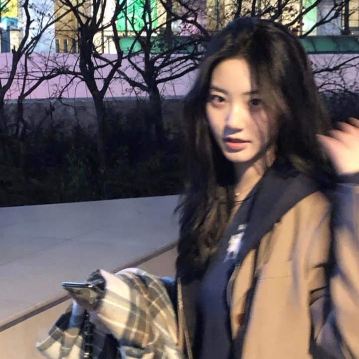 奥斯汀书会